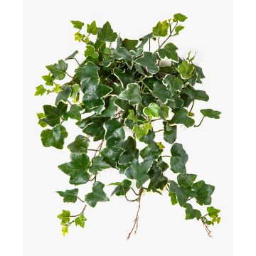 Edera artificiale LINNEO su bastone, crossdoor, verde-bianco, 50 cm