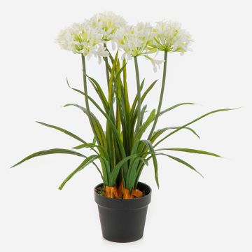 Pianta artificiale Agapanthus LESEDA in vaso decorativo, bianco, 65 cm