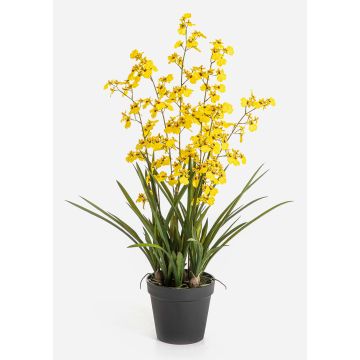 Fiore artificiale Oncidium Orchidea LAFILEA in vaso decorativo, giallo, 100 cm Fiore artificiale Oncidium Orchidea LAFILEA in vaso decorativo, giallo, 100 cm