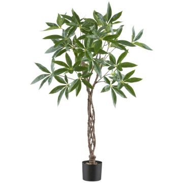 Albero artificiale Pachira WINMA, tronco artificiale intrecciato, 120 cm