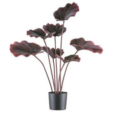 Palma artificiale GRAVO, rosso scuro, 100 cm
