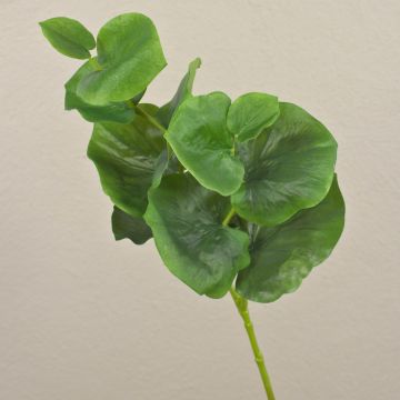 Ramo di eucalipto artificiale NUNO, verde, 70cm