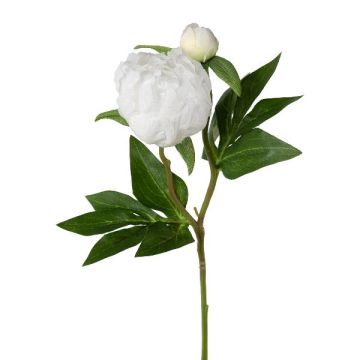 Fiore artificiale di peonia CORENY, bianco, 45 cm