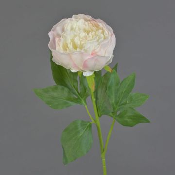 Fiore artificiale peonia SEDFY, rosa, 60 cm