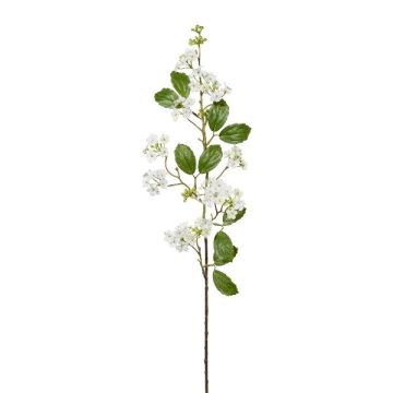 Ramo decorativo Palla di neve WANDYM, bianco, 85 cm