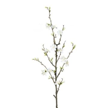 Ramo decorativo fiori di cotogno SLORNE con fiori, bianco, 85 cm