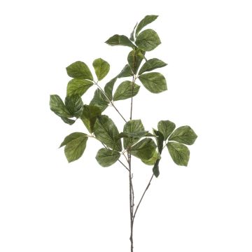 Ramo decorativo Castagno SNELOR, verde, 120 cm