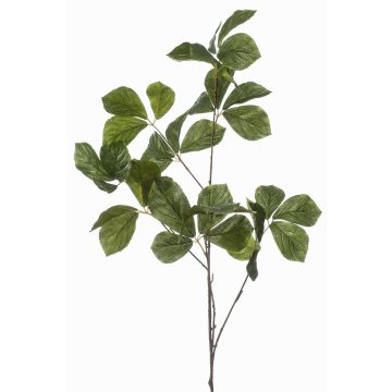 Ramo decorativo Castagno SNELOR, verde, 120 cm