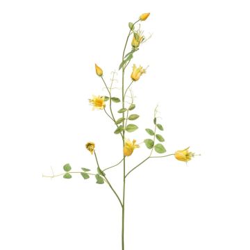 Ramo decorativo di clematide LENOMA, giallo, 115 cm