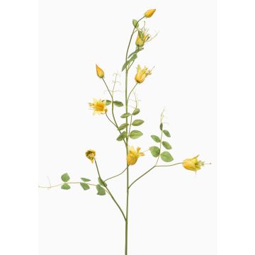 Ramo decorativo di clematide LENOMA, giallo, 115 cm Ramo decorativo di clematide LENOMA, giallo, 115 cm