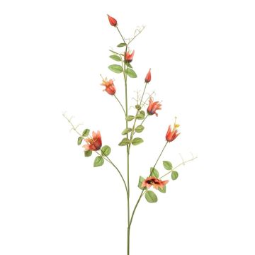 Ramo decorativo Clematis LENOMA, arancione, 115 cm