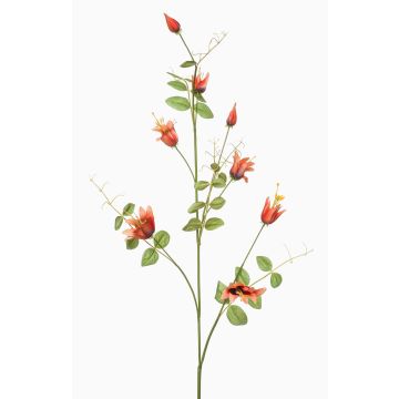 Ramo decorativo Clematis LENOMA, arancione, 115 cm Ramo decorativo Clematis LENOMA, arancione, 115 cm