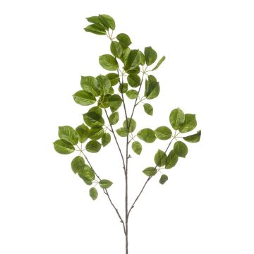 Ramo decorativo Schefflera KRUVEN, verde, 120 cm