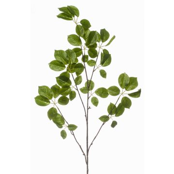 Ramo decorativo Schefflera KRUVEN, verde, 120 cm