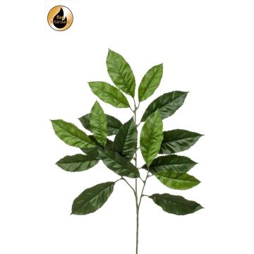 Ramo decorativo Noce BANIESA, difficilmente infiammabile, verde, 70 cm
