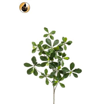 Ramo artificiale Bucida Buceras TANIESA, difficilmente infiammabile, 65 cm