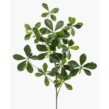 Ramo artificiale Bucida Buceras TANIESA, difficilmente infiammabile, 65 cm
