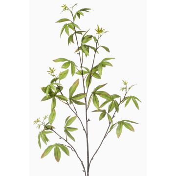 Ramo decorativo di aralia MOLFER, verde, 115cm