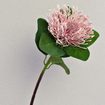 Protea artificiale TANJA, rosa-fucsia, 65cm