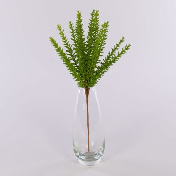 Rosmarino artificiale ISOBEL su stelo, verde, 35cm Rosmarino artificiale ISOBEL su stelo, verde, 35cm