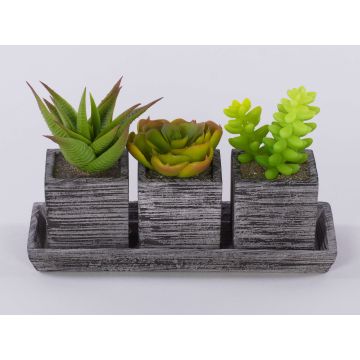 Composizione di succulente artificiali SYLVIA in vaso decorativo, verde, 19x7,5x11cm Composizione di succulente artificiali SYLVIA in vaso decorativo, verde, 19x7,5x11cm