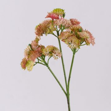 Ramo di sedum artificiale JAROH, rosa-verde, 35cm
