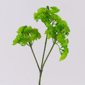 Ramo di sedum artificiale JAROH, verde, 35cm