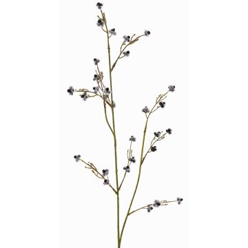 Stirlingia latifolia artificiale COLLAN, nero-bianco, 85cm Stirlingia latifolia artificiale COLLAN, nero-bianco, 85cm