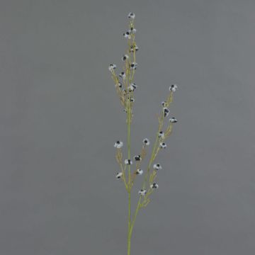 Stirlingia latifolia artificiale COLLAN, nero-bianco, 85cm