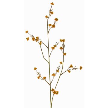 Stirlingia latifolia artificiale COLLAN, arancione, 85cm Stirlingia latifolia artificiale COLLAN, arancione, 85cm