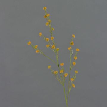 Stirlingia latifolia artificiale COLLAN, arancione, 85cm