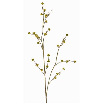 Stirlingia latifolia artificiale COLLAN, verde-giallo, 85cm Stirlingia latifolia artificiale COLLAN, verde-giallo, 85cm