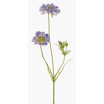 Scabiosa artificiale ANDIA, blu-viola, 80cm, Ø8-10cm Scabiosa artificiale ANDIA, blu-viola, 80cm, Ø8-10cm