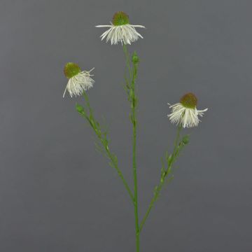 Echinacea artificiale CELIO, crema, 60cm, Ø6cm