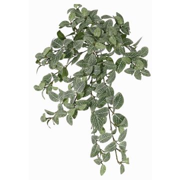 Fittonia artificiale NALEDI, su stelo, zona trasversale, difficilmente infiammabile, verde-bianco, 50cm Fittonia artificiale NALEDI, su stelo, zona trasversale, difficilmente infiammabile, verde-bianco, 50cm