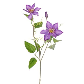 Clematis artificiale DORAN, viola, 75cm, Ø13cm Clematis artificiale DORAN, viola, 75cm, Ø13cm