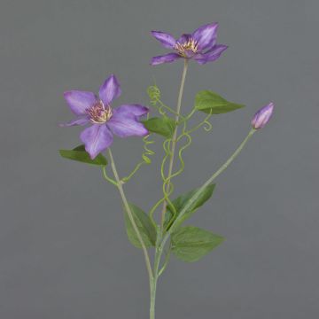 Clematis artificiale DORAN, viola, 75cm, Ø13cm
