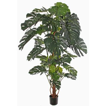 Monstera deliciosa artificiale CHORA, 190cm