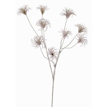 Clematide artificiale HARWAY, marrone scuro, 105cm, Ø7cm