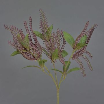 Erica lavanda artificiale VILLADS, bordeaux, 40cm