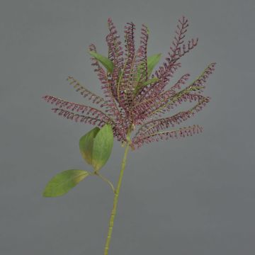 Erica lavanda artificiale VILLADS, bordeaux, 60cm