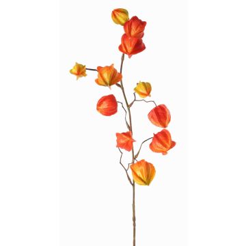 Ramo artificiale di physalis PERSEI con frutti, arancione, 80cm Ramo artificiale di physalis PERSEI con frutti, arancione, 80cm