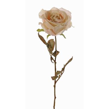 Rosa artificiale NAJMA, crema-rosa, 65cm, Ø10cm Rosa artificiale NAJMA, crema-rosa, 65cm, Ø10cm