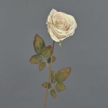 Rosa artificiale NAJMA, crema, 65cm, Ø11cm