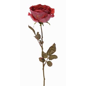 Rosa artificiale NAJMA, rosso antico-viola, 65cm, Ø10cm Rosa artificiale NAJMA, rosso antico-viola, 65cm, Ø10cm