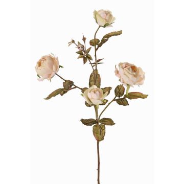 Ramo artificiale di rose SITARA, crema-rosa, 75cm, Ø5-8cm