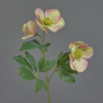 Rosa di Natale artificiale AKRAB, crema-rosa, 45cm, Ø5-8cm