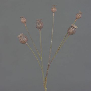 Capsule di papavero artificiale ASUMAN, marrone, 70cm Capsule di papavero artificiale ASUMAN, marrone, 70cm