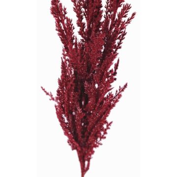 Ramo artificiale di erba di pampa THEMBA, rosso bordeaux, 115cm