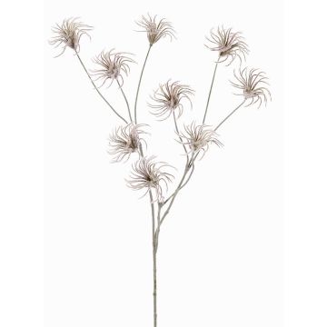 Clematide artificiale HARWAY, marrone, 70cm, Ø7cm